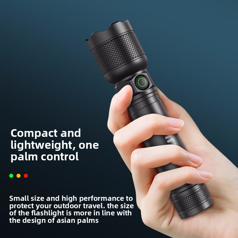 2025 NEW Philips SFL2188 LED A - Outdoor Lighting Unit review and price